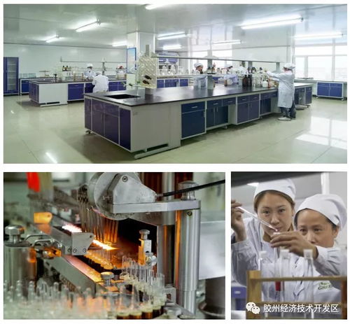 集中簽約，示范區(qū)明星企業(yè)精彩亮相——精心設(shè)計(jì)網(wǎng)站助力招商盛會(huì)